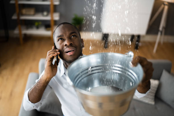 Best Fire Damage Restoration  in Mcgregor, FL