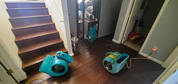 Best Sewage cleanup and water damage restoration  in Mcgregor, FL