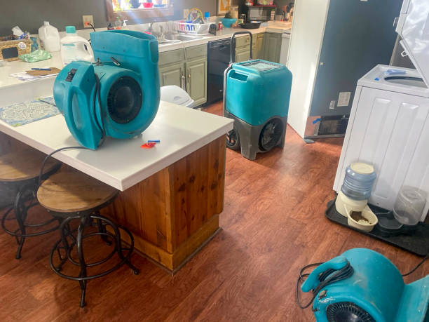 Best Water damage restoration experts  in Mcgregor, FL