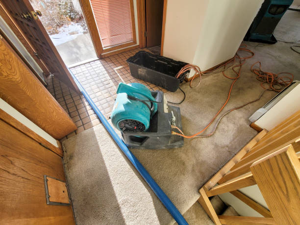 Best Commercial water damage restoration  in Mcgregor, FL