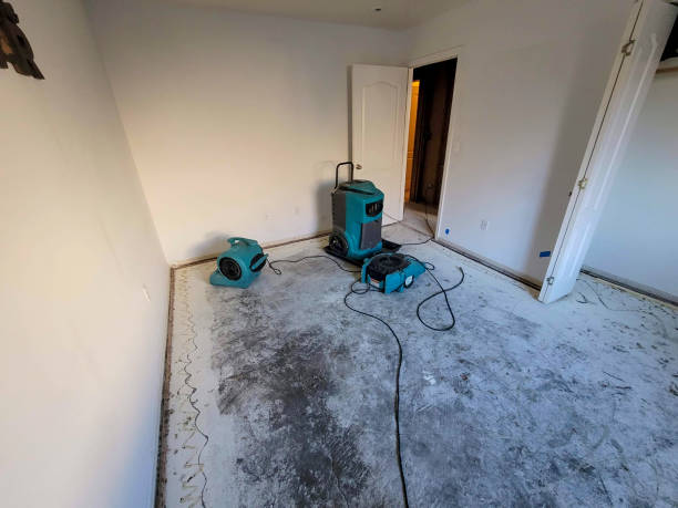 Best Ceiling water damage repair  in Mcgregor, FL