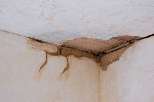 Best Water damage restoration near me  in Mcgregor, FL