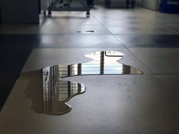 Best Water damage restoration near me  in Mcgregor, FL