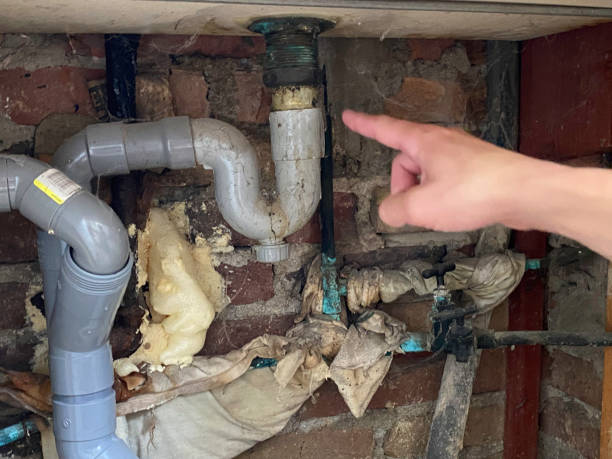 Best Flooded house restoration  in Mcgregor, FL