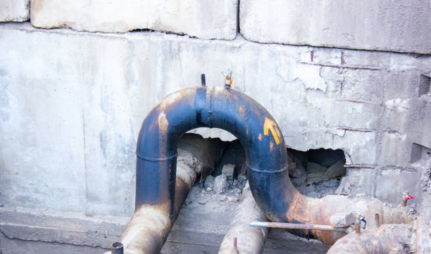 Best Water damage restoration services  in Mcgregor, FL